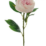 LARGE PEONY STEM 67CM 3 COLORS AVAILABLE