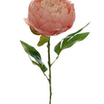 LARGE PEONY STEM 67CM 3 COLORS AVAILABLE