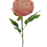LARGE PEONY STEM 67CM 3 COLORS AVAILABLE