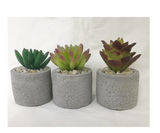 ARTIFICIAL MINI SUCCULENT 10CM 6 DESIGNS AVAILABLE