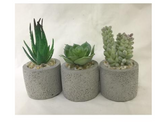 ARTIFICIAL MINI SUCCULENT 10CM 6 DESIGNS AVAILABLE