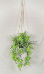 90CM HANGING SUCCULENT PLANT / WHITE POT