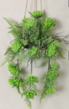 90CM HANGING SUCCULENT PLANT / WHITE POT