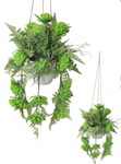 90CM HANGING SUCCULENT PLANT / WHITE POT